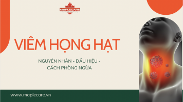 Viêm họng hạt - Nguyên nhân, dấu hiệu và cách phòng ngừa - Maple Care