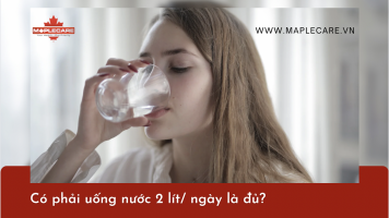 Uống 2 lít nước mỗi ngày là đủ? - Maple Care