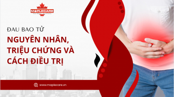 Đau bao tử: nguyên nhân, triệu chứng và cách điều trị - Maple Care