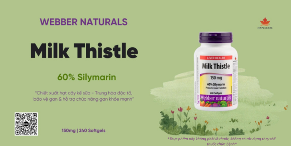 Viên uống bảo vệ hỗ trợ chức năng gan Milk Thistle 60% Silymarin 150mg